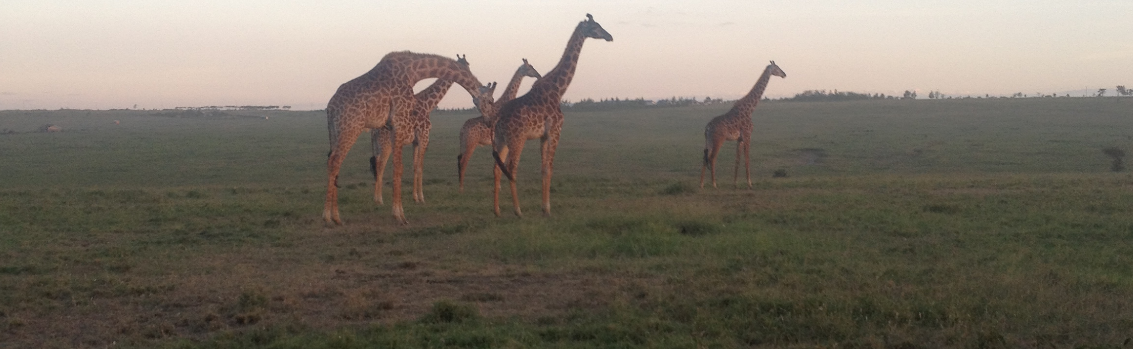 Servicing in Kenya