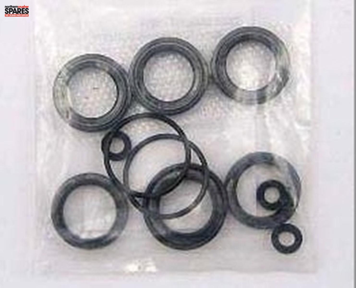 61315-000 SEAL KIT FOR 10-25-0630 MOTOR